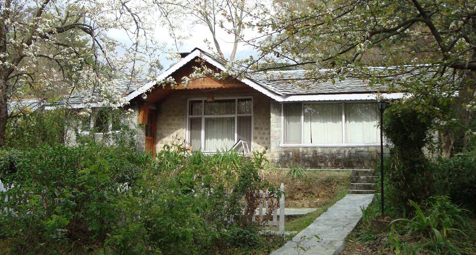 Country Cottage, Palampur 3